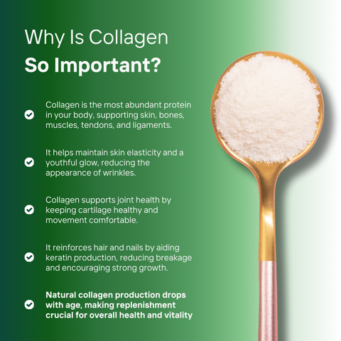 Halal Collagen Protein